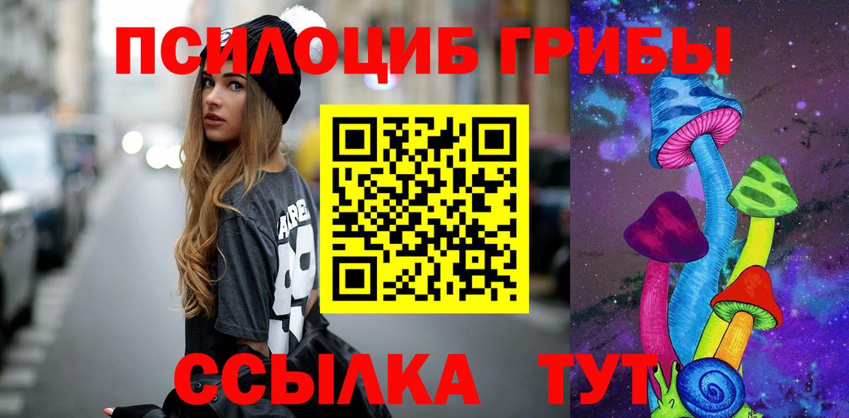 Галлюциногенные грибы Magic Shrooms  наркотики  Вход с VPN  Хасавюрт  Псилоцибиновые грибы GOLDEN TEACHER 